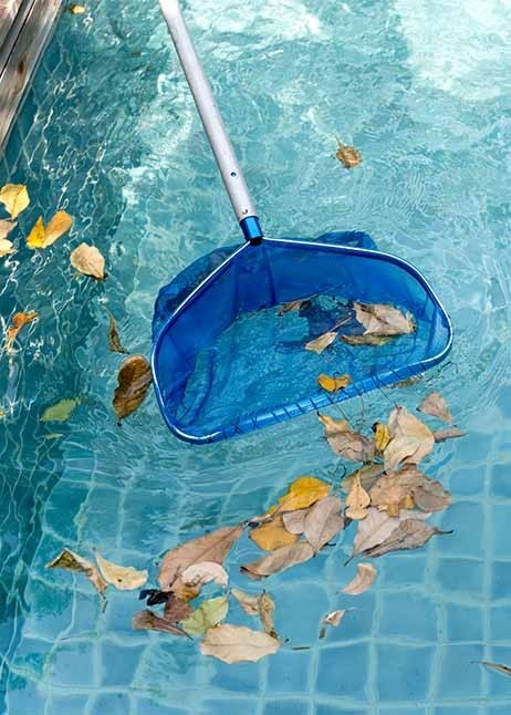 Pool mit einem Kescher reinigen - © GettyImages
