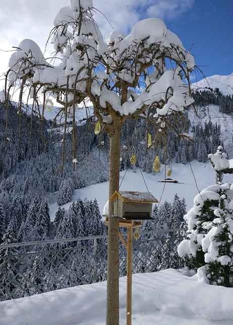 Gartenpflege im Winter - Baum mit Schnee © GettyImages