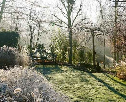 Gartenpflege im Winter © GettyImages