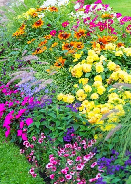 Blumen für Schmetterlinge im Garten © GettyImages